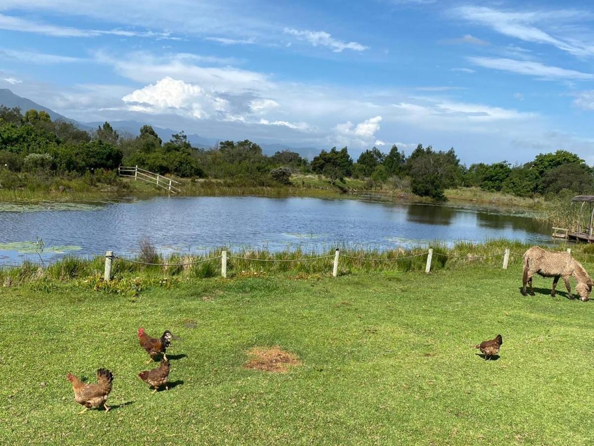 Eco Lodge Villa Villekula The Crags 外观 照片